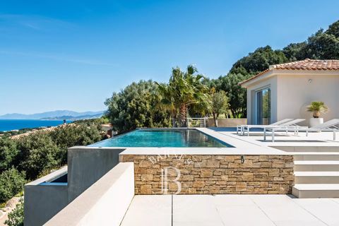 Villa i Corbara, Haute-Corse, Corbara - € 2.100.000 | Ref: RV2146 - foto 4