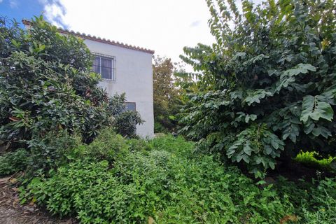 Finca i Salobrena, Granada, Salobrena - € 199.000 | Ref: M712 - foto 1