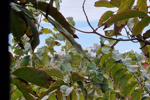 Finca i Salobrena, Granada, Salobrena - € 199.000 | Ref: M712 - foto 3