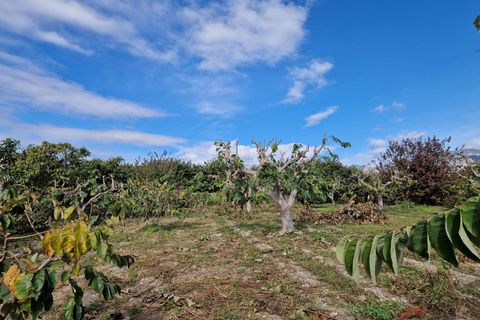 Finca i Salobrena, Granada, Salobrena - € 199.000 | Ref: M712 - foto 13
