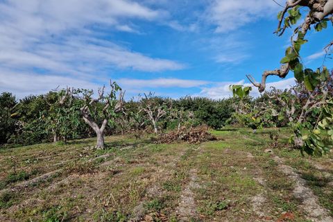 Finca i Salobrena, Granada, Salobrena - € 199.000 | Ref: M712 - foto 15