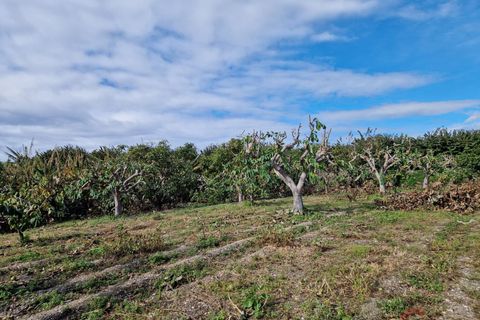 Finca i Salobrena, Granada, Salobrena - € 199.000 | Ref: M712 - foto 16