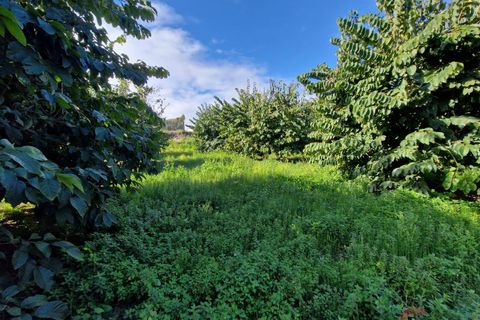 Finca i Salobrena, Granada, Salobrena - € 199.000 | Ref: M712 - foto 17