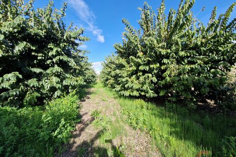 Finca i Salobrena, Granada, Salobrena - € 199.000 | Ref: M712 - foto 19
