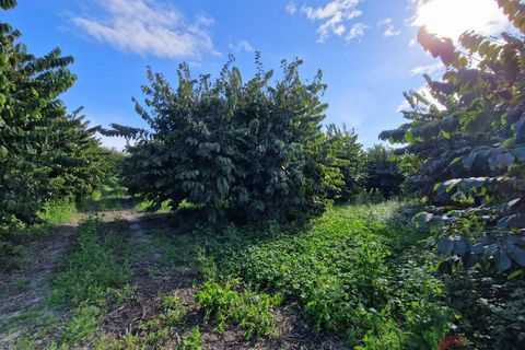 Finca i Salobrena, Granada, Salobrena - € 199.000 | Ref: M712 - foto 23