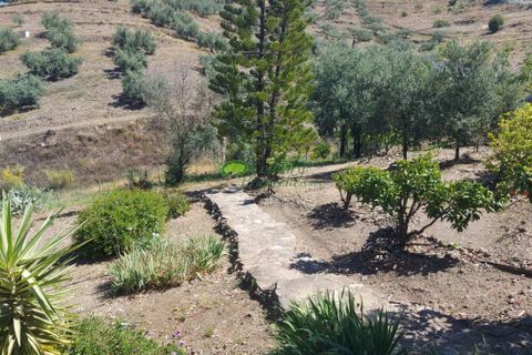 Landejendom i Canillas De Aceituno, Malaga, Canillas De Aceituno - € 279.000 | Ref: 7986 - foto 36