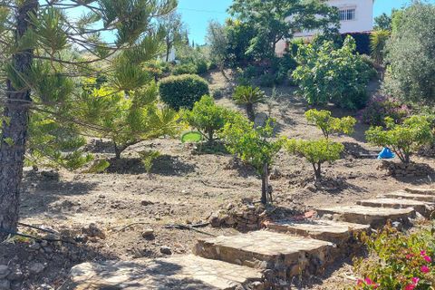Landejendom i Canillas De Aceituno, Malaga, Canillas De Aceituno - € 279.000 | Ref: 7986 - foto 6