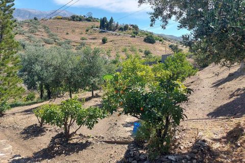 Landejendom i Canillas De Aceituno, Malaga, Canillas De Aceituno - € 279.000 | Ref: 7986 - foto 40
