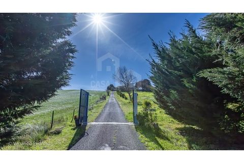 Farm i Mafra, Lisbon, Mafra - € 820.000 | Ref: V26080.1 - foto 8