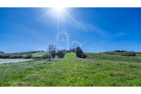 Farm i Mafra, Lisbon, Mafra - € 820.000 | Ref: V26080.1 - foto 41