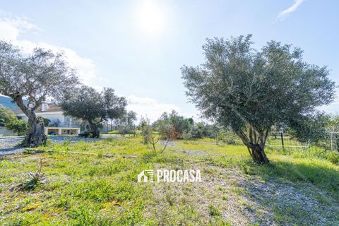 Villa i Roses, Gerona, Roses - € 1.200.000 | Ref: 4212 - foto 14