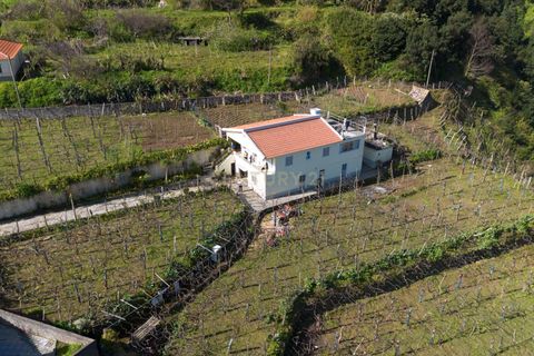 Villa i Sao Vincente, Madeira, Sao Vincente - € 1.400.000 | Ref: C0447-00205 - foto 9