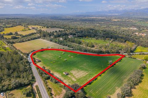 Helårsgrund i Llubi, Mallorca, Llubi - € 249.000 | Ref: 08MR013/10961 - foto 9