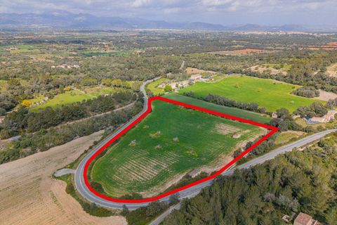 Helårsgrund i Llubi, Mallorca, Llubi - € 249.000 | Ref: 08MR013/10961 - foto 11