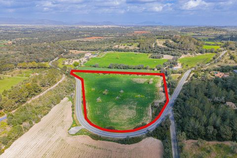 Helårsgrund i Llubi, Mallorca, Llubi - € 249.000 | Ref: 08MR013/10961 - foto 12