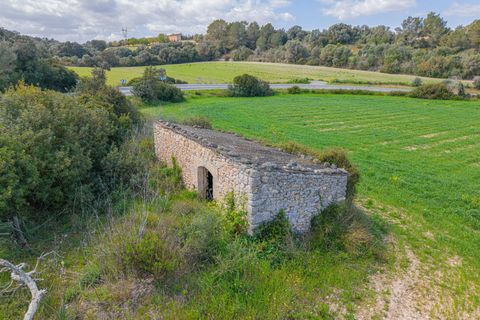 Helårsgrund i Llubi, Mallorca, Llubi - € 249.000 | Ref: 08MR013/10961 - foto 13
