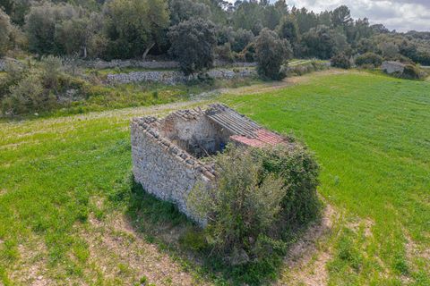 Helårsgrund i Llubi, Mallorca, Llubi - € 249.000 | Ref: 08MR013/10961 - foto 14