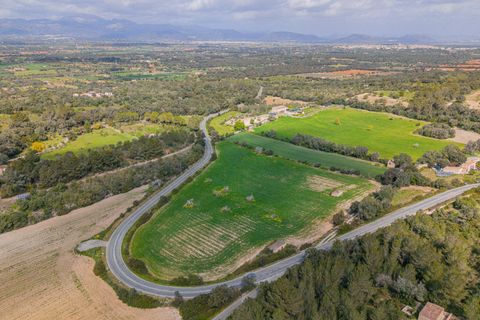 Helårsgrund i Llubi, Mallorca, Llubi - € 249.000 | Ref: 08MR013/10961 - foto 15