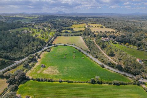 Helårsgrund i Llubi, Mallorca, Llubi - € 249.000 | Ref: 08MR013/10961 - foto 17