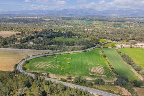 Helårsgrund i Llubi, Mallorca, Llubi - € 249.000 | Ref: 08MR013/10961 - foto 18