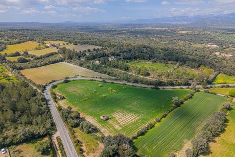 Helårsgrund i Llubi, Mallorca, Llubi - € 249.000 | Ref: 08MR013/10961 - foto 19