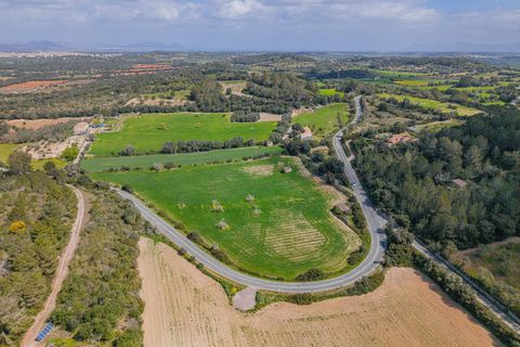 Helårsgrund i Llubi, Mallorca, Llubi - € 249.000 | Ref: 08MR013/10961 - foto 21