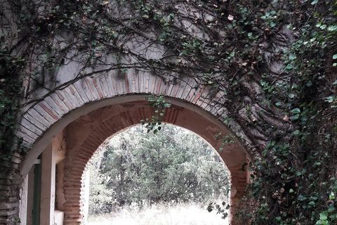 Landejendom i Murcia, Murcia, Murcia - € 900.000 | Ref: AG19142746 - foto 45