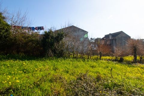 Villa a Coimbra, Coimbra, Coimbra - € 120.000 | Ref: CBRNT 6272 - foto 22