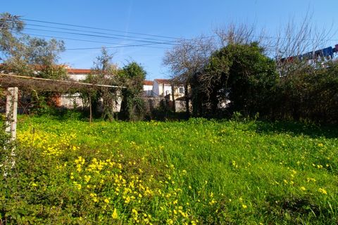 Villa a Coimbra, Coimbra, Coimbra - € 120.000 | Ref: CBRNT 6272 - foto 23