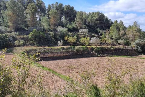 Finca i Caseres, Tarragona, Caseres - € 6 000 | Ref: Ca1 - foto 9