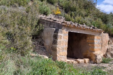 Finca i Caseres, Tarragona, Caseres - € 6 000 | Ref: Ca1 - foto 6