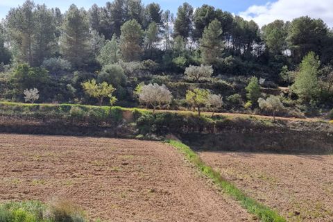 Finca i Caseres, Tarragona, Caseres - € 6 000 | Ref: Ca1 - foto 8