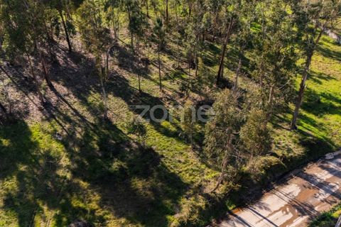 Helårsgrund i Vila Verde, Braga, Vila Verde - € 195.000 | Ref: ZMPT586883 - foto 2