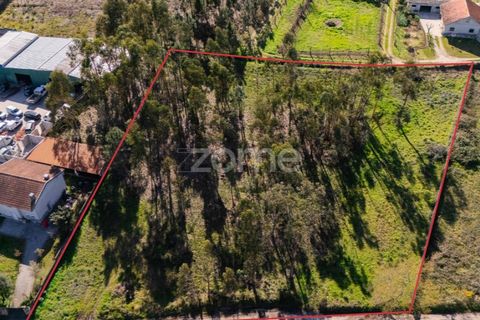 Helårsgrund i Vila Verde, Braga, Vila Verde - € 195.000 | Ref: ZMPT586883 - foto 1