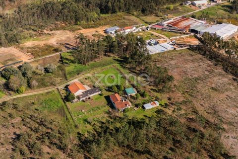 Helårsgrund i Vila Verde, Braga, Vila Verde - € 195.000 | Ref: ZMPT586883 - foto 5