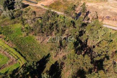 Helårsgrund i Vila Verde, Braga, Vila Verde - € 195.000 | Ref: ZMPT586883 - foto 6