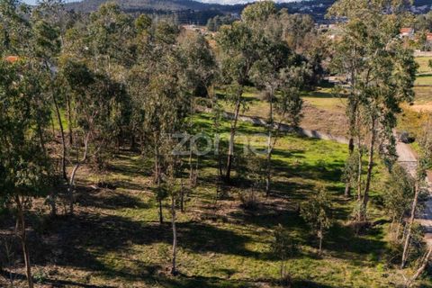 Helårsgrund i Vila Verde, Braga, Vila Verde - € 195.000 | Ref: ZMPT586883 - foto 8