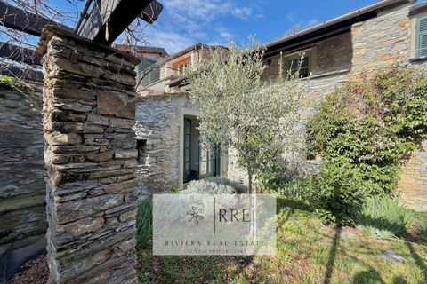 Landejendom i Ranzo, Imperia, Ranzo - € 510.000 | Ref: 38601013-273 - foto 12