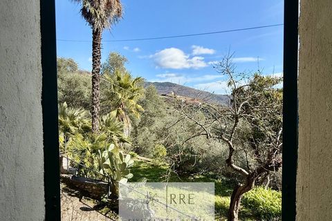 Landejendom i Ranzo, Imperia, Ranzo - € 510.000 | Ref: 38601013-273 - foto 41