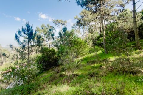 Villa a Almocageme, Lisbon, Almocageme - € 345.000 | Ref: AH2611-AD - foto 21