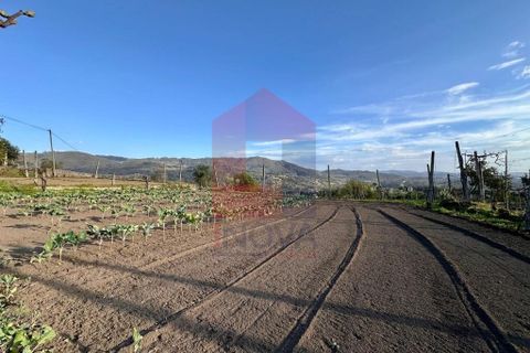 Helårsgrund i Vila Verde, Braga, Vila Verde - € 106.000 | Ref: 08849 - foto 3