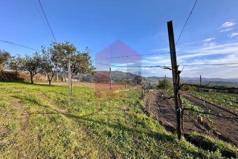 Helårsgrund i Vila Verde, Braga, Vila Verde - € 106.000 | Ref: 08849 - foto 4