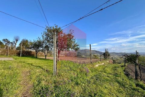 Helårsgrund i Vila Verde, Braga, Vila Verde - € 106.000 | Ref: 08849 - foto 14