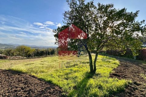 Helårsgrund i Vila Verde, Braga, Vila Verde - € 106.000 | Ref: 08849 - foto 18