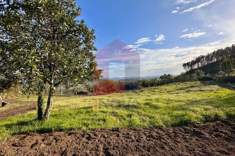 Helårsgrund i Vila Verde, Braga, Vila Verde - € 106.000 | Ref: 08849 - foto 19