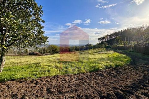Helårsgrund i Vila Verde, Braga, Vila Verde - € 106.000 | Ref: 08849 - foto 20