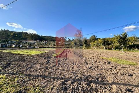 Helårsgrund i Vila Verde, Braga, Vila Verde - € 106.000 | Ref: 08849 - foto 21