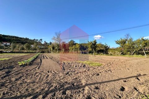 Helårsgrund i Vila Verde, Braga, Vila Verde - € 106.000 | Ref: 08849 - foto 22