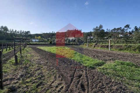 Helårsgrund i Vila Verde, Braga, Vila Verde - € 106.000 | Ref: 08849 - foto 23