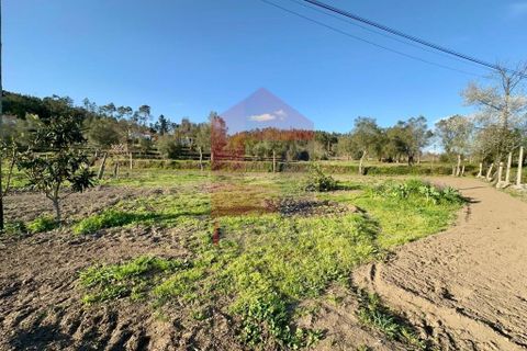 Helårsgrund i Vila Verde, Braga, Vila Verde - € 106.000 | Ref: 08849 - foto 24